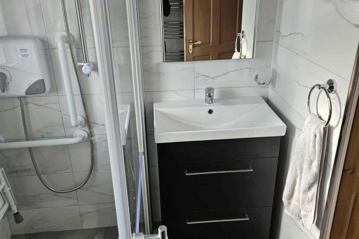 Newly installed level access shower & toilet aids in Bray, North Wicklow